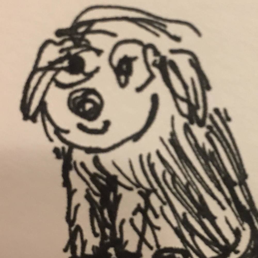 Meet your Posher, Sophie